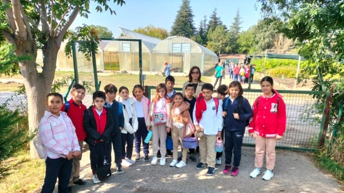 CEBESOY İLKOKULU 4B SINIFI